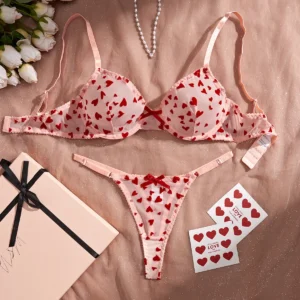 Ensemble de lingerie érotique sexy froncé en maille transparente amour coeur broderie